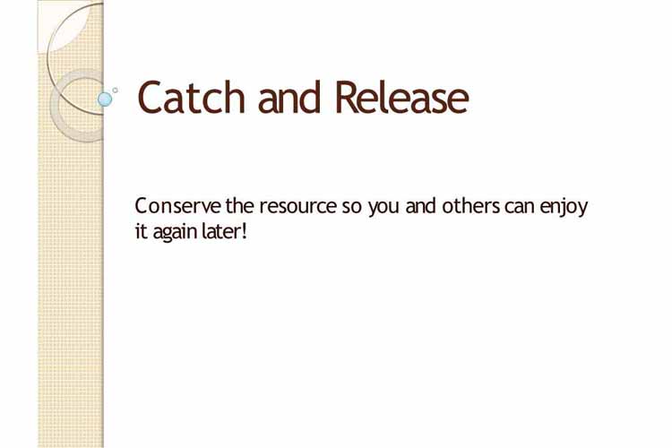 Catch and Release Basics - Buckeye United Fly Fishers